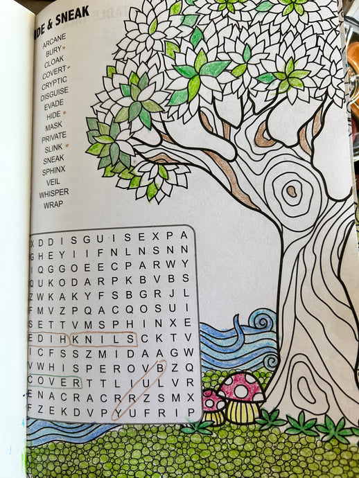 Word Search Puzzles: Wellbeing and Mental Health