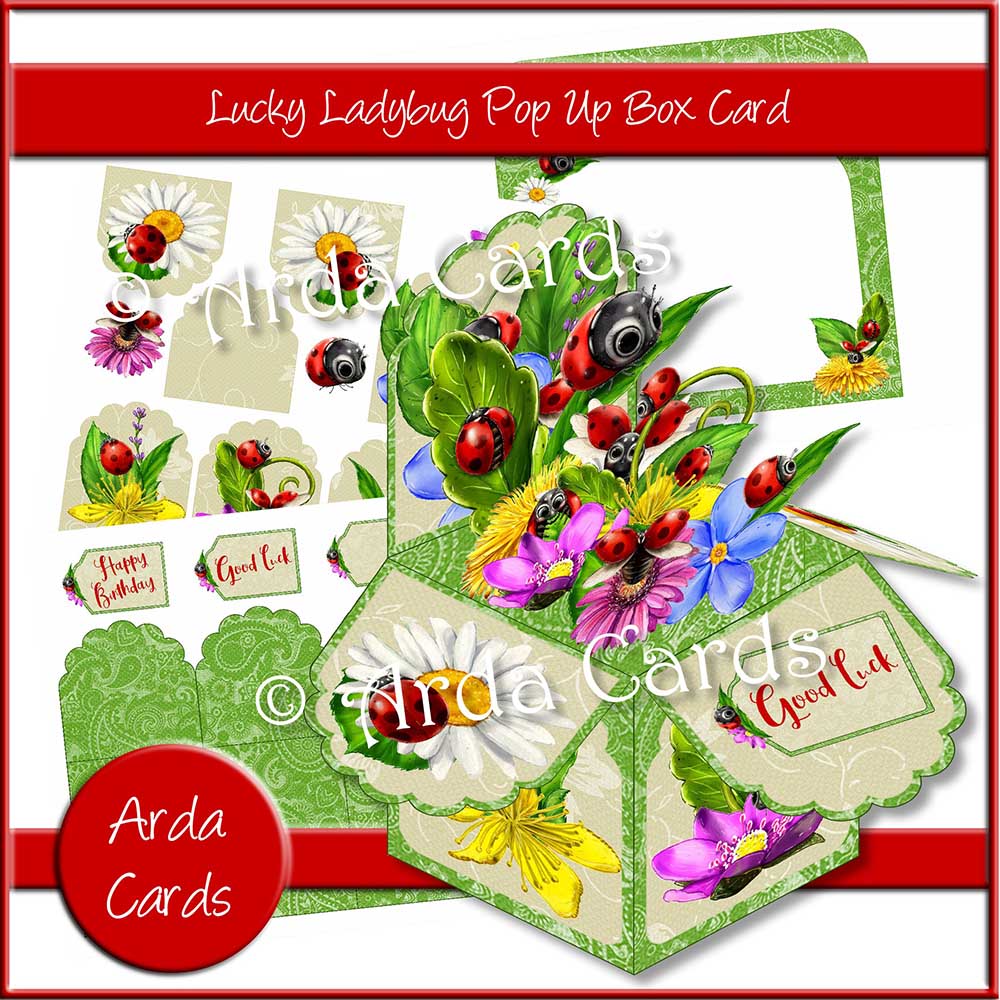 printable pop up box kit with ladybirds for instant download