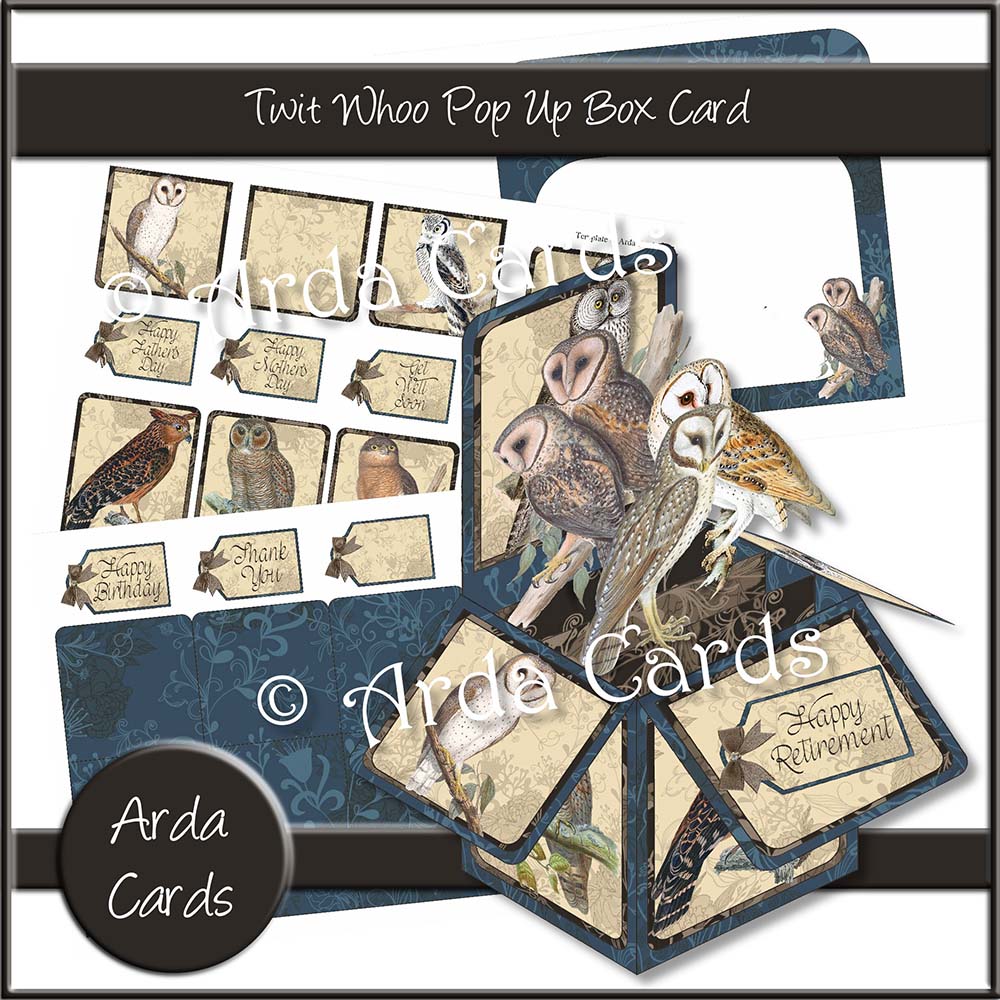 Twit Whoo Pop Up Box Card
